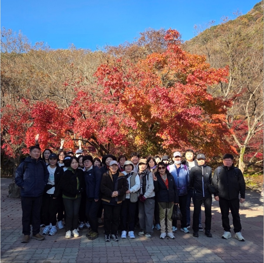 94f9af72533dabcef5ed98bf6e82072e_1767139